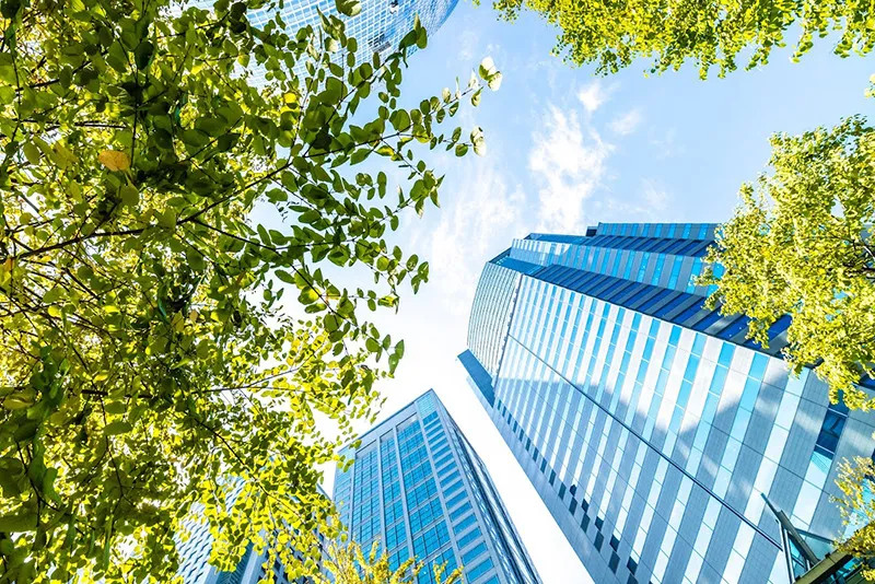 有限会社アコール